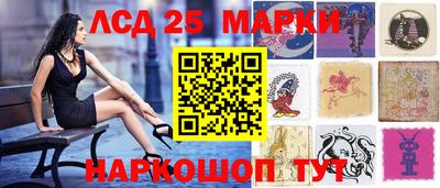 шишки Кимры