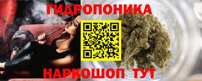 ПСИЛОЦИБИНОВЫЕ ГРИБЫ Кинель