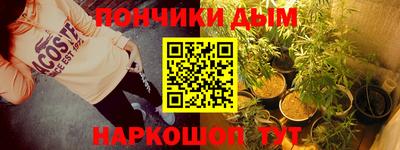 jwh Кингисепп