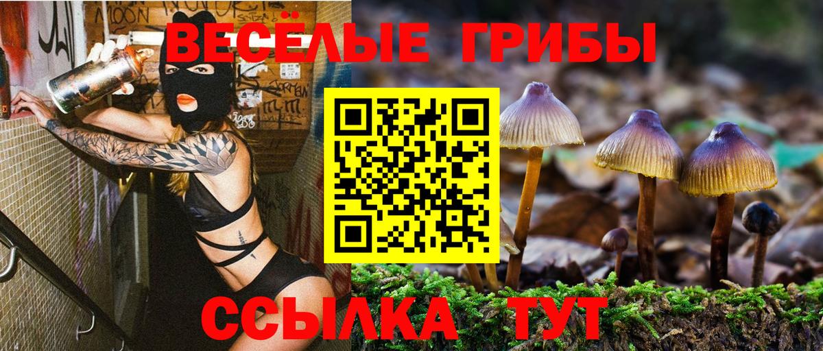 Королёв  Псилоцибиновые грибы GOLDEN TEACHER  Галлюциногенные грибы Psilocybe  Вход с VPN 